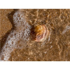 CALVENDO Puzzle CALVENDO Puzzle Emotionale Momente: Meeresrauschen Пазл CALVENDO Puzzle Эмоциональные моменты: шум моря