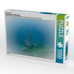 CALVENDO Puzzle CALVENDO Puzzle Faszination Leuchtquallen Пазл CALVENDO Puzzle Очарование светящихся медуз