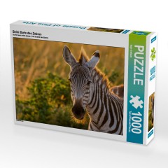 CALVENDO Puzzle CALVENDO Puzzle Beim Barte des Zebras Пазл CALVENDO Puzzle У бороды зебры