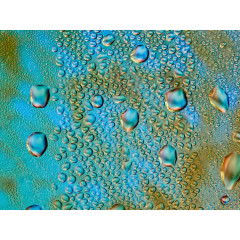 CALVENDO Puzzle CALVENDO Puzzle Aquarelle 4.0 Пазл CALVENDO Puzzle Watercolors 4.0