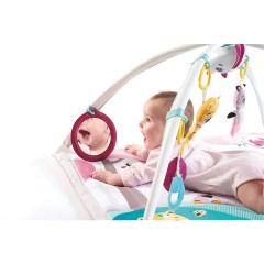 Tiny Love Gymini Deluxe (Tiny Princess) Джимини Делюкс (Маленькая принцесса)