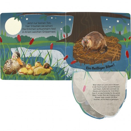 Dorling Kindersley Verlag Wer ist denn da noch wach? Tiere der Nacht Кто еще не спит? животные ночи