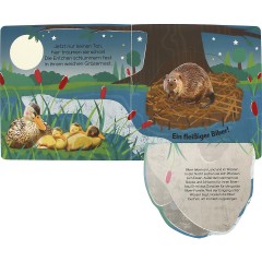 Dorling Kindersley Verlag Wer ist denn da noch wach? Tiere der Nacht Кто еще не спит? животные ночи