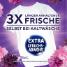 Lenor Color Flussigwaschmittel Amethyst Blutentraum 20WL, Гель для стирки цветного белья с ароматом  Цветочная мечта, 20 загрузок (900мл)