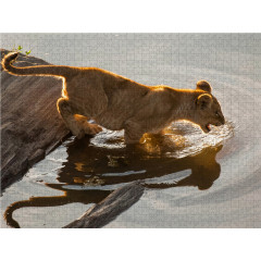 CALVENDO Puzzle CALVENDO Puzzle Emotionale Momente: Liebenswerte Lowenbabys \/ CH-Version Пазл CALVENDO Puzzle Эмоциональные моменты: милые львенки / Swiss version