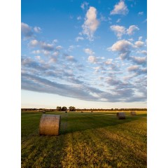 CALVENDO Puzzle CALVENDO Puzzle Feld mit Heuballen Пазл CALVENDO Поле головоломки с тюками сена