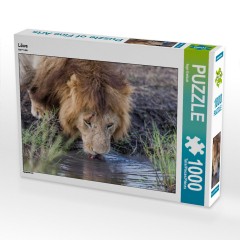 CALVENDO Puzzle CALVENDO Puzzle Lowe Пазл CALVENDO Puzzle Lowe