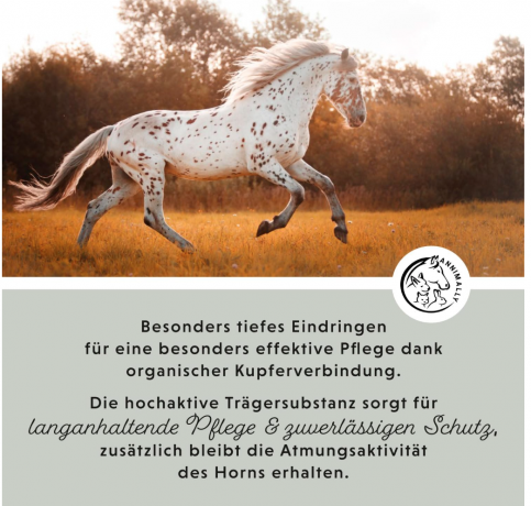 ANNIMALLY Strahl Akut Strahlpflege Pferd 125ml, Интенсивное средство для стрелки копыта лошадей (Германия), с органической медью, тимьяном и гвоздикой для ухода и защиты, 125 мл