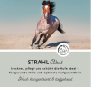 ANNIMALLY Strahl Akut Strahlpflege Pferd 125ml, Интенсивное средство для стрелки копыта лошадей (Германия), с органической медью, тимьяном и гвоздикой для ухода и защиты, 125 мл