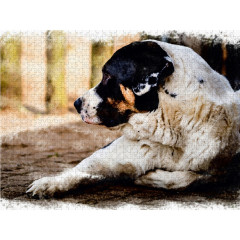 CALVENDO Puzzle CALVENDO Puzzle Mastin Espanol Пазл CALVENDO Puzzle Mastin Espanol