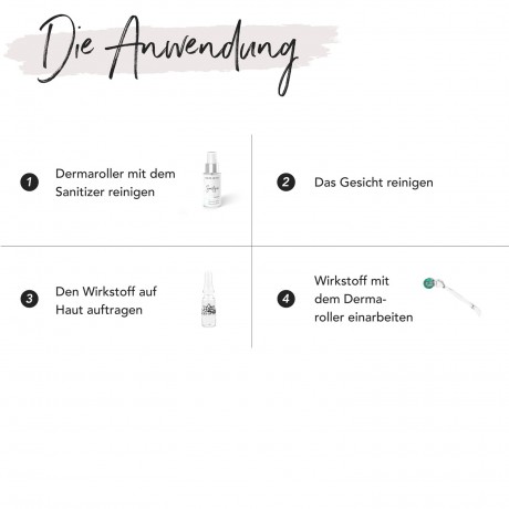 FACES OF FEY Microneedlingset Basic Hyaluron 0,25mm Набор для микронидлинга Basic Hyaluron 0,25 мм