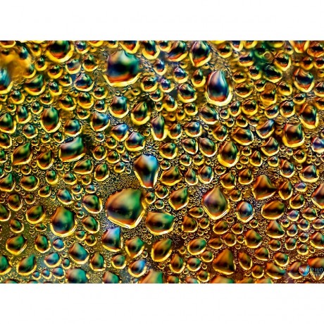 CALVENDO Puzzle CALVENDO Puzzle Pandora Пазл CALVENDO Пазл Пандора