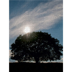 CALVENDO Puzzle CALVENDO Puzzle Juli: Die Eiche im Hochsommer bietet vielen Tieren Schatten und Schutz. Головоломка CALVENDO Puzzle Июль: дуб в середине лета дает тень и защиту многим животным.