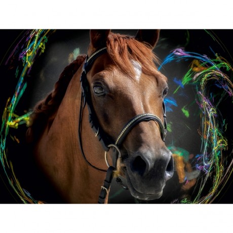 CALVENDO Puzzle CALVENDO Puzzle Die Reiter Kugeln Пазл CALVENDO Puzzle Всадник шаров