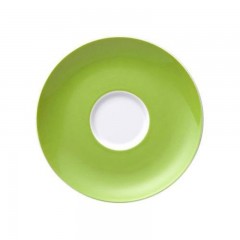 Thomas Thomas Sunny Day Apple Green Kaffee-/Tee-/Kombi-Untertasse 14,5 cm Блюдце Thomas Sunny Day Apple Green для кофе/чая/комбо 14,5см
