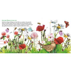 Carlsen Verlag Hor mal (Soundbuch): So klingt der Sommer Hor mal (звуковая книга): Так звучит лето