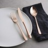 Sambonet Sambonet Taste - Edelstahl / PVD champagnerfarben Besteckset 36-tlg. Кнопка Sambonet - нержавеющая сталь / PVD цвет шампанского набор столовых приборов 36 предм.