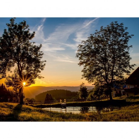 CALVENDO Puzzle CALVENDO Puzzle Sonnenuntergang am Weiher in Triberg\/Nussbach Пазл CALVENDO Puzzle Закат на пруду в Триберге/Нусбахе