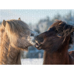 CALVENDO Puzzle CALVENDO Puzzle Die Hengste beschnuppern sich ausgiebig. Головоломка CALVENDO Puzzle Жеребцы много обнюхивают друг друга.