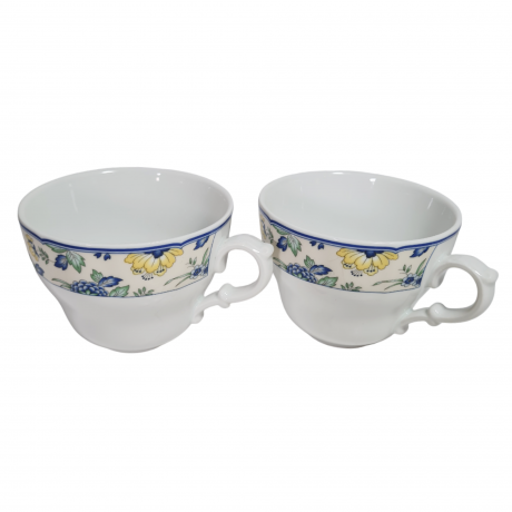 Чашка винтажная Hutschenreuther с ботаническим принтом, фарфор, 2 шт., 13 см, Германия, 1980-90гг.