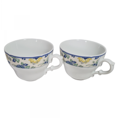 Чашка винтажная Hutschenreuther с ботаническим принтом, фарфор, 2 шт., 13 см, Германия, 1980-90гг.