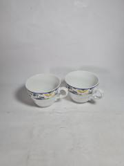 Чашка винтажная Hutschenreuther с ботаническим принтом, фарфор, 2 шт., 13 см, Германия, 1980-90гг.