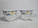 Чашка винтажная Hutschenreuther с ботаническим принтом, фарфор, 2 шт., 13 см, Германия, 1980-90гг.
