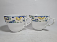 Чашка винтажная Hutschenreuther с ботаническим принтом, фарфор, 2 шт., 13 см, Германия, 1980-90гг.