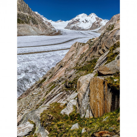 CALVENDO Puzzle CALVENDO Puzzle Aletschgletscher im Sommer (Wallis Пазл CALVENDO Puzzle Aletsch Glacier летом (Вале