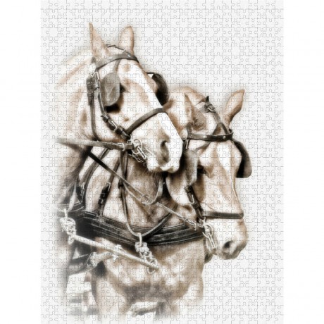 CALVENDO Puzzle CALVENDO Puzzle Equestrian Kunst Пазл CALVENDO Puzzle Конное искусство