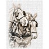 CALVENDO Puzzle CALVENDO Puzzle Equestrian Kunst Пазл CALVENDO Puzzle Конное искусство