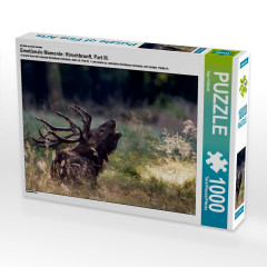 CALVENDO Puzzle CALVENDO Puzzle Emotionale Momente: Hirschbrunft. Part III. Пазл CALVENDO Пазл Эмоциональные моменты: Оленья гонка. Часть 3