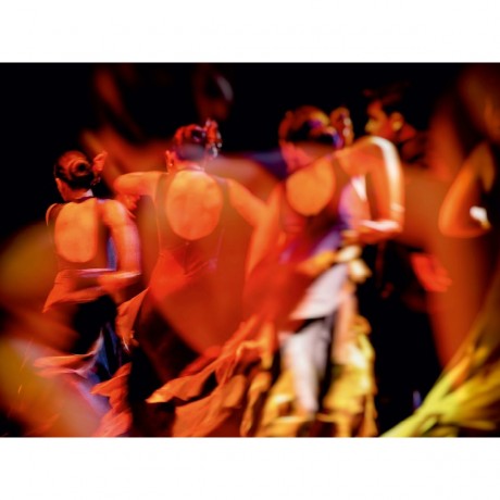 CALVENDO Puzzle CALVENDO Puzzle Flamenco Пазл CALVENDO Пазл Фламенко