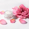 Chantecaille La Creme a la Rose de Mai  La Creme a la Rose de Mai