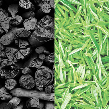 Mylee Warmwachsperlen Aktivkohle & Gruner Tee Теплый восковой жемчуг, активированный уголь и зеленый чай