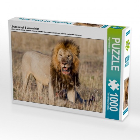 CALVENDO Puzzle CALVENDO Puzzle Lowenkampf  Lowenliebe Пазл CALVENDO Puzzle Lion fight Lion love