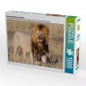 CALVENDO Puzzle CALVENDO Puzzle Lowenkampf  Lowenliebe Пазл CALVENDO Puzzle Lion fight Lion love