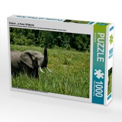 CALVENDO Puzzle CALVENDO Puzzle Elefant....in freier Wildbahn Пазл CALVENDO Puzzle Elephant....в дикой природе