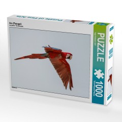 CALVENDO Puzzle CALVENDO Puzzle Ara (Papagei) Пазл CALVENDO Puzzle Ара (попугай)