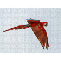 CALVENDO Puzzle CALVENDO Puzzle Ara (Papagei) Пазл CALVENDO Puzzle Ара (попугай)