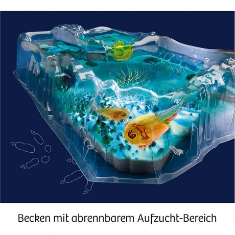 Kosmos Fun Science Triops zuchten Разведение Fun Science Triops