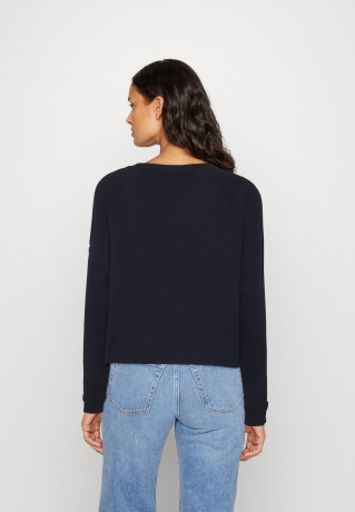 Tommy Hilfiger ROPE PUFF PRINT Sweatshirt desert sky ПРИНТ ROPE PUFF Толстовка небо пустыни