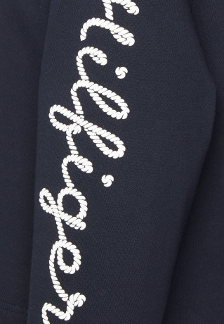 Tommy Hilfiger ROPE PUFF PRINT Sweatshirt desert sky ПРИНТ ROPE PUFF Толстовка небо пустыни