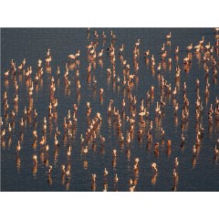 CALVENDO Puzzle CALVENDO Puzzle Emotionale Momente: Der Lake Elementaita in Kenia. Пазл CALVENDO Пазл Эмоциональные моменты: Озеро Элементайта в Кении.