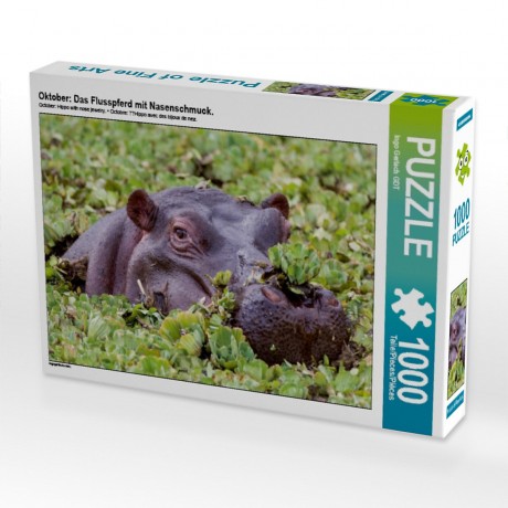 CALVENDO Puzzle CALVENDO Puzzle Oktober: Das Flusspferd mit Nasenschmuck. Пазл CALVENDO Puzzle October: Бегемот с украшением в носу.