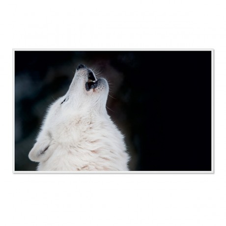 CALVENDO Puzzle CALVENDO Puzzle Emotionale Momente: Polarwolfe. \/ CH-Version Пазл CALVENDO Пазл Эмоциональные моменты: арктические волки. \/ версия CH