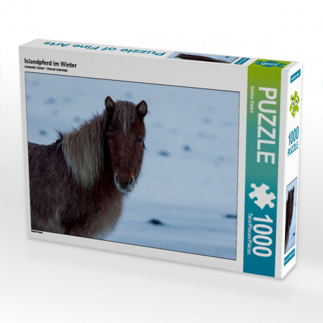 CALVENDO Puzzle CALVENDO Puzzle Islandpferd im Winter Пазл CALVENDO Пазл Исландская лошадь зимой