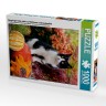 CALVENDO Puzzle CALVENDO Puzzle Neugierige Katze steht auf Kurbissen und beobachtet Пазл CALVENDO Puzzle Любопытный кот стоит на тыквах и смотрит