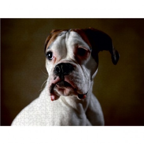 CALVENDO Puzzle CALVENDO Puzzle Zira Пазл CALVENDO Пазл Зира