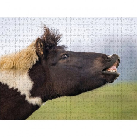 CALVENDO Puzzle CALVENDO Puzzle Der Hengst zieht sich cen Duft des anderen Hengstes rein. Головоломка CALVENDO Puzzle Жеребец чувствует запах другого жеребца.